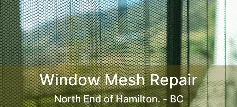  Window Mesh Repair North End of Hamilton. - BC