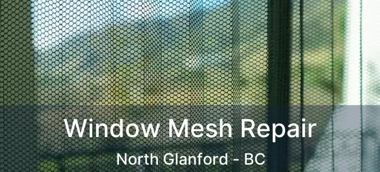  Window Mesh Repair North Glanford - BC