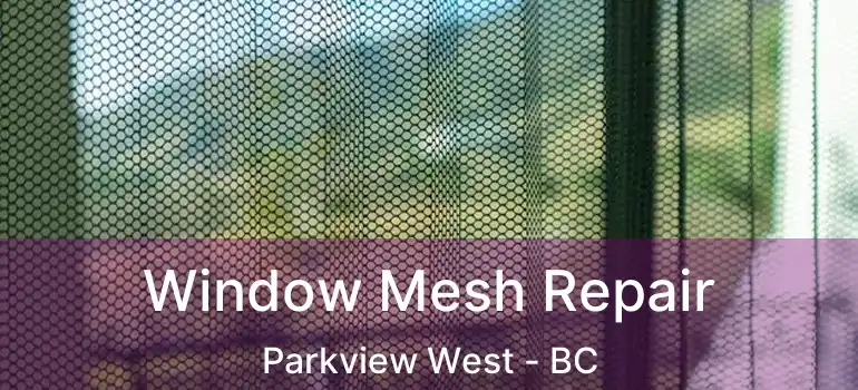  Window Mesh Repair Parkview West - BC