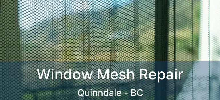  Window Mesh Repair Quinndale - BC