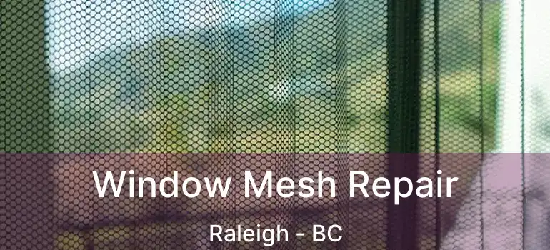  Window Mesh Repair Raleigh - BC