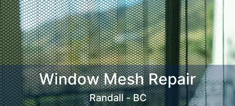  Window Mesh Repair Randall - BC