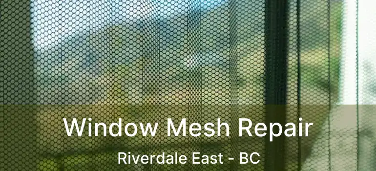  Window Mesh Repair Riverdale East - BC