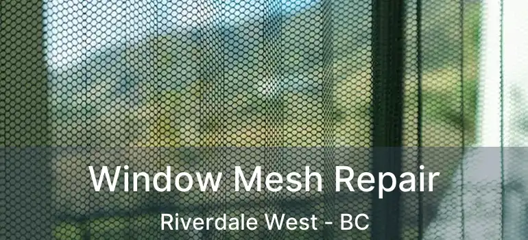  Window Mesh Repair Riverdale West - BC
