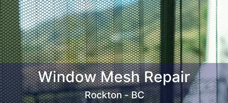  Window Mesh Repair Rockton - BC