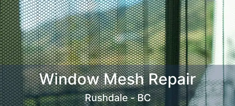  Window Mesh Repair Rushdale - BC