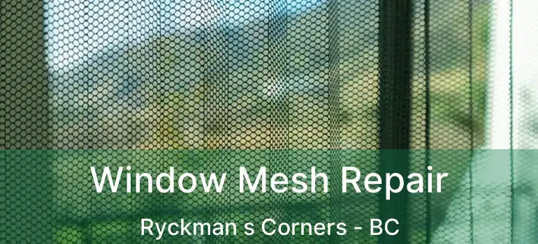  Window Mesh Repair Ryckman s Corners - BC