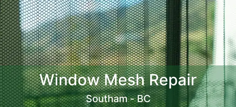  Window Mesh Repair Southam - BC