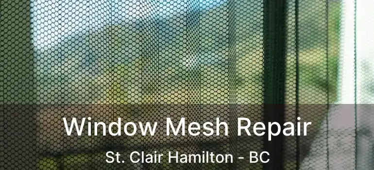  Window Mesh Repair St. Clair Hamilton - BC