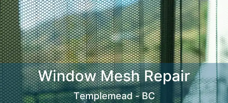  Window Mesh Repair Templemead - BC