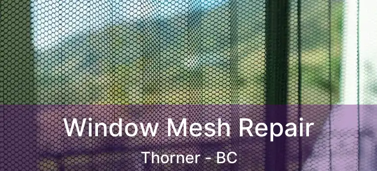  Window Mesh Repair Thorner - BC