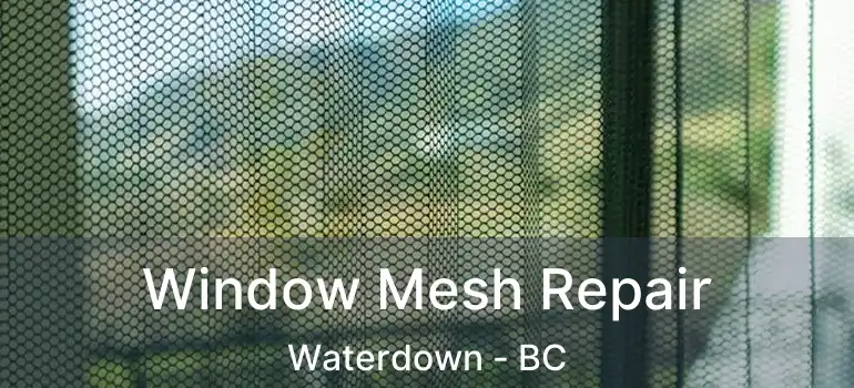  Window Mesh Repair Waterdown - BC