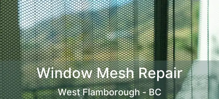  Window Mesh Repair West Flamborough - BC
