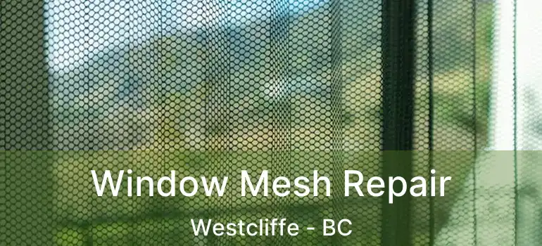  Window Mesh Repair Westcliffe - BC