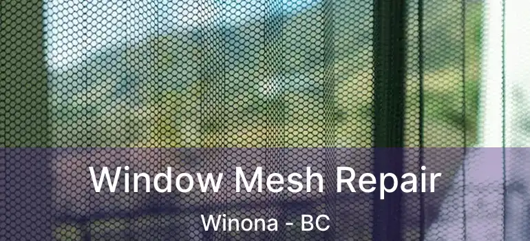  Window Mesh Repair Winona - BC
