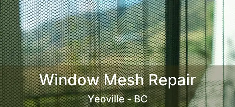  Window Mesh Repair Yeoville - BC
