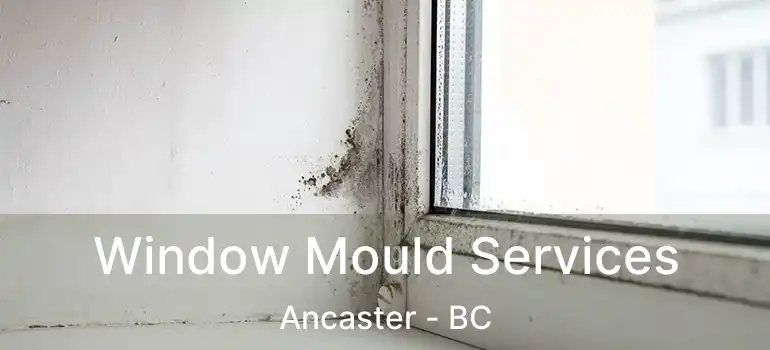  Window Mould Services Ancaster - BC