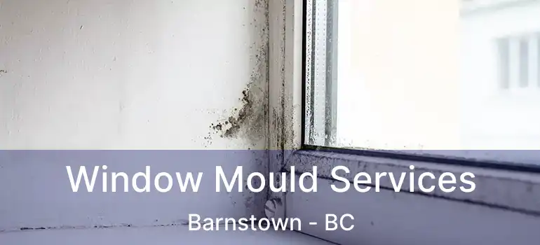  Window Mould Services Barnstown - BC