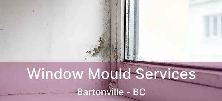  Window Mould Services Bartonville - BC