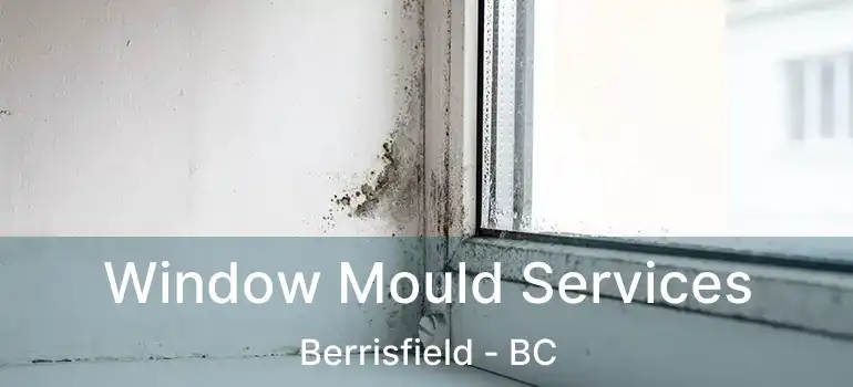  Window Mould Services Berrisfield - BC