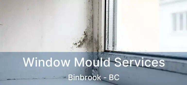  Window Mould Services Binbrook - BC