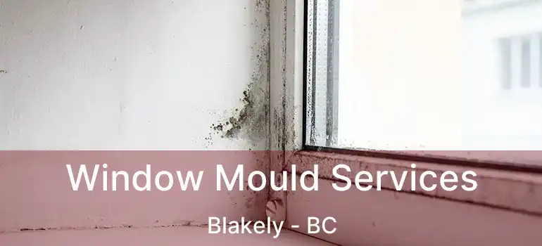  Window Mould Services Blakely - BC