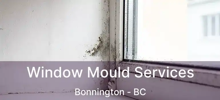  Window Mould Services Bonnington - BC