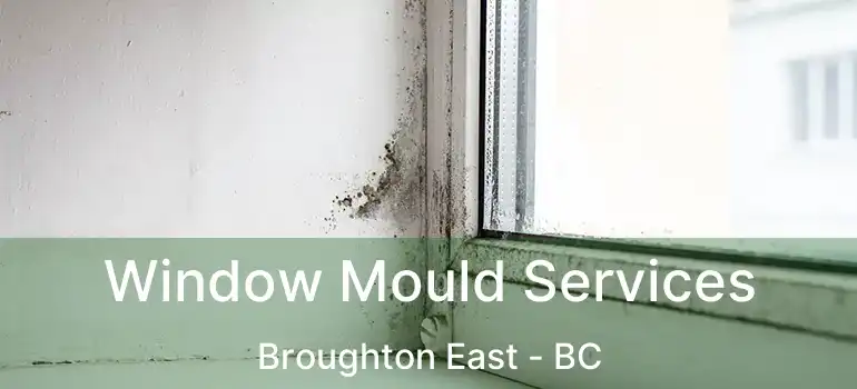 Window Mould Services Broughton East - BC