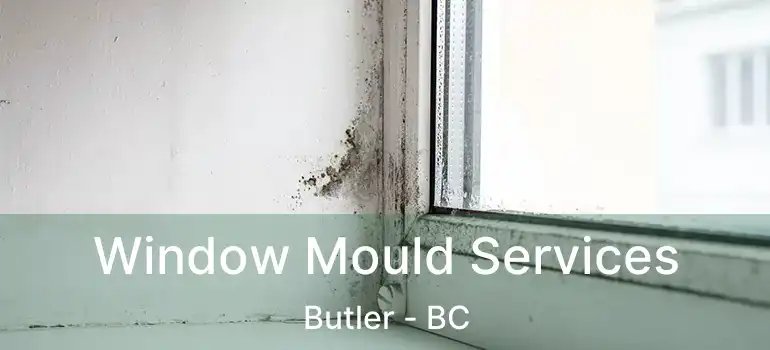  Window Mould Services Butler - BC