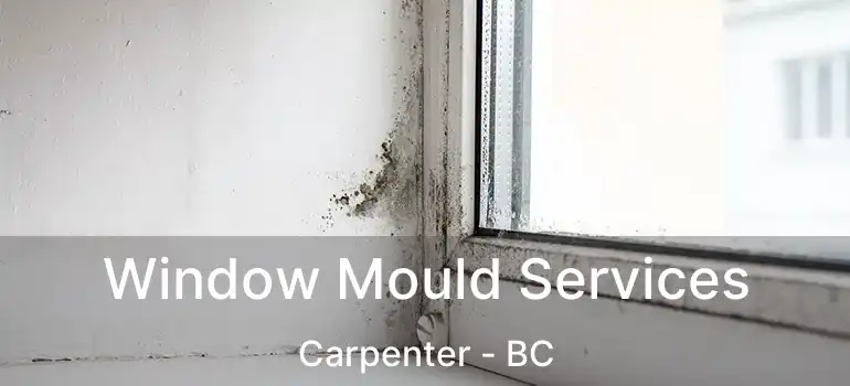  Window Mould Services Carpenter - BC