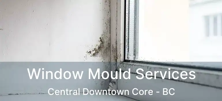  Window Mould Services Central Downtown Core - BC