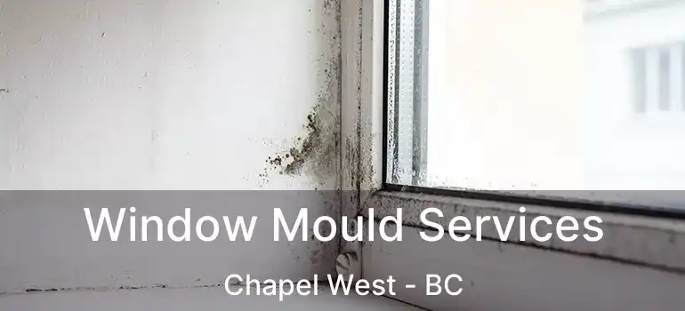  Window Mould Services Chapel West - BC