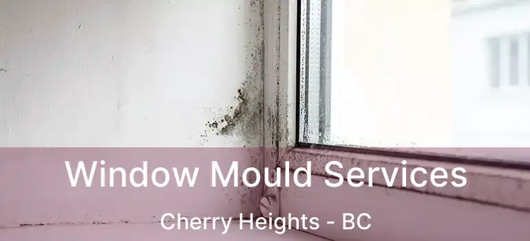  Window Mould Services Cherry Heights - BC
