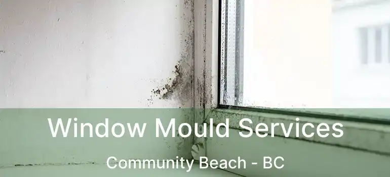  Window Mould Services Community Beach - BC