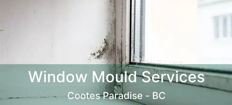  Window Mould Services Cootes Paradise - BC
