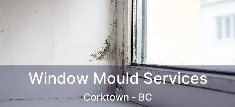  Window Mould Services Corktown - BC