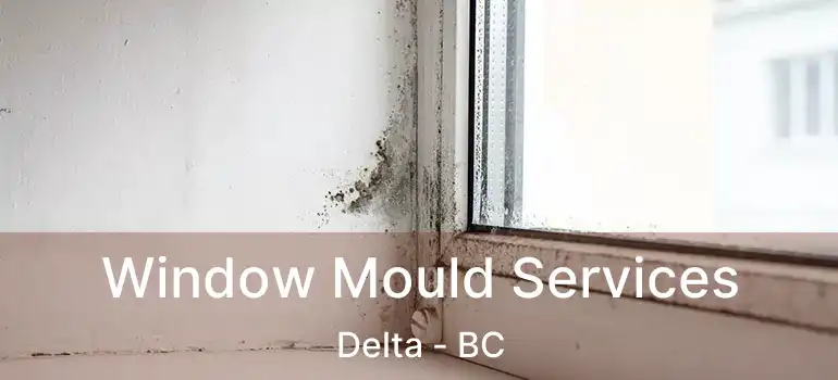  Window Mould Services Delta - BC