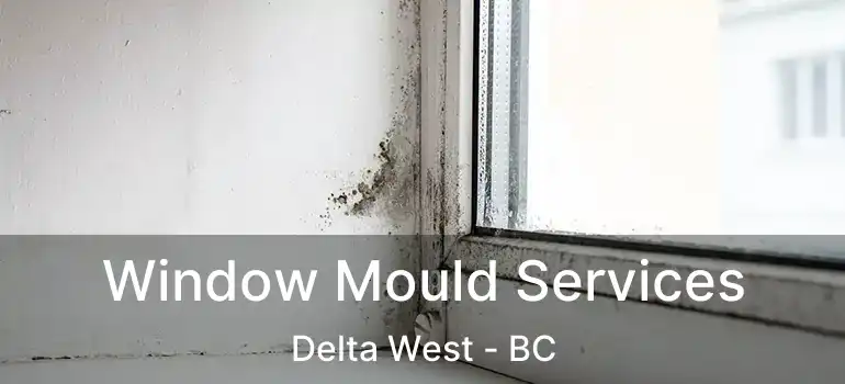  Window Mould Services Delta West - BC