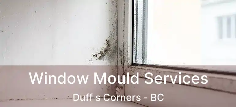  Window Mould Services Duff s Corners - BC