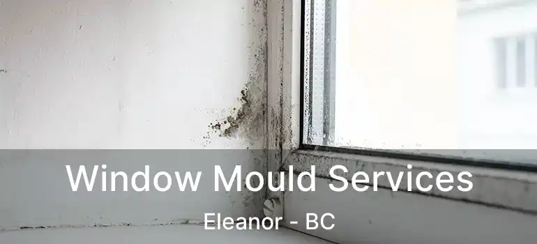  Window Mould Services Eleanor - BC