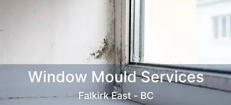  Window Mould Services Falkirk East - BC