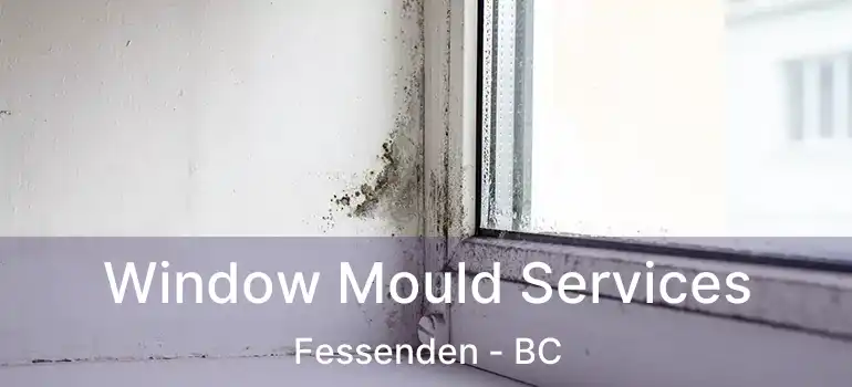  Window Mould Services Fessenden - BC