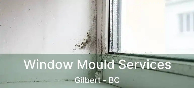  Window Mould Services Gilbert - BC