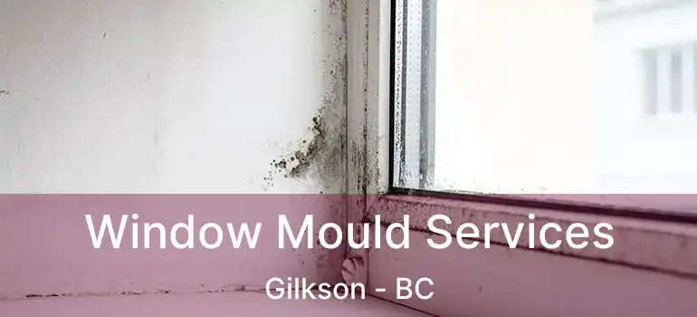  Window Mould Services Gilkson - BC
