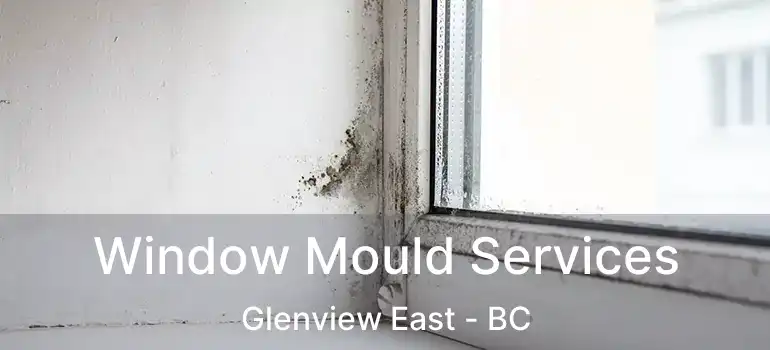 Window Mould Services Glenview East - BC