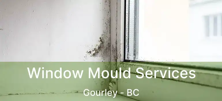  Window Mould Services Gourley - BC