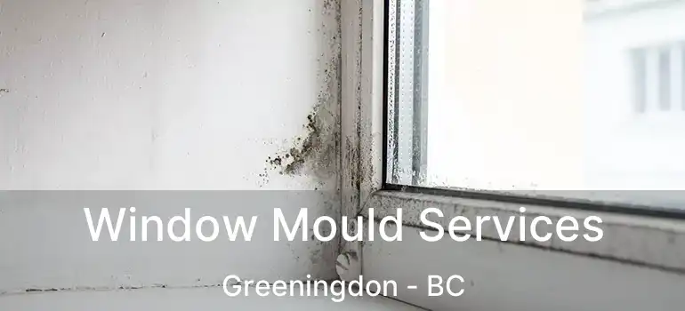  Window Mould Services Greeningdon - BC