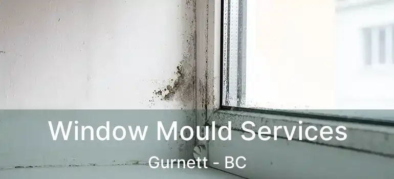  Window Mould Services Gurnett - BC