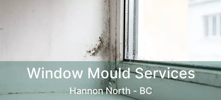  Window Mould Services Hannon North - BC