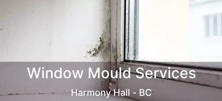  Window Mould Services Harmony Hall - BC